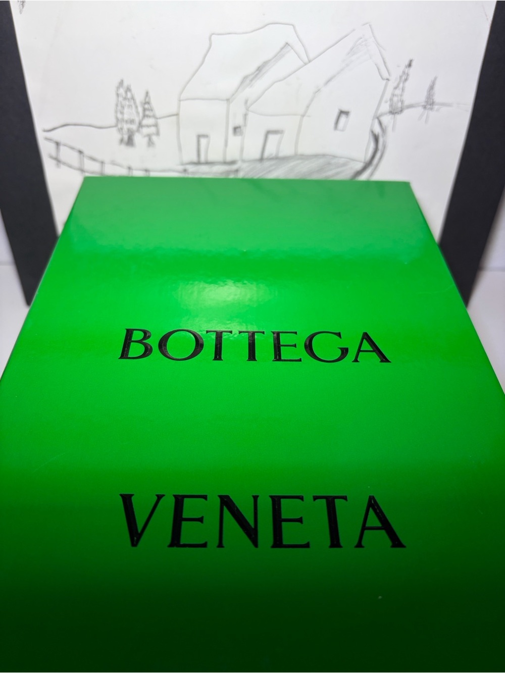 Bottega Beneta Empty Large Green Shoe  Box